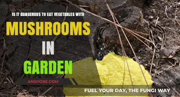 Garden Veggies and Mushrooms: Safe or Risky Combination?