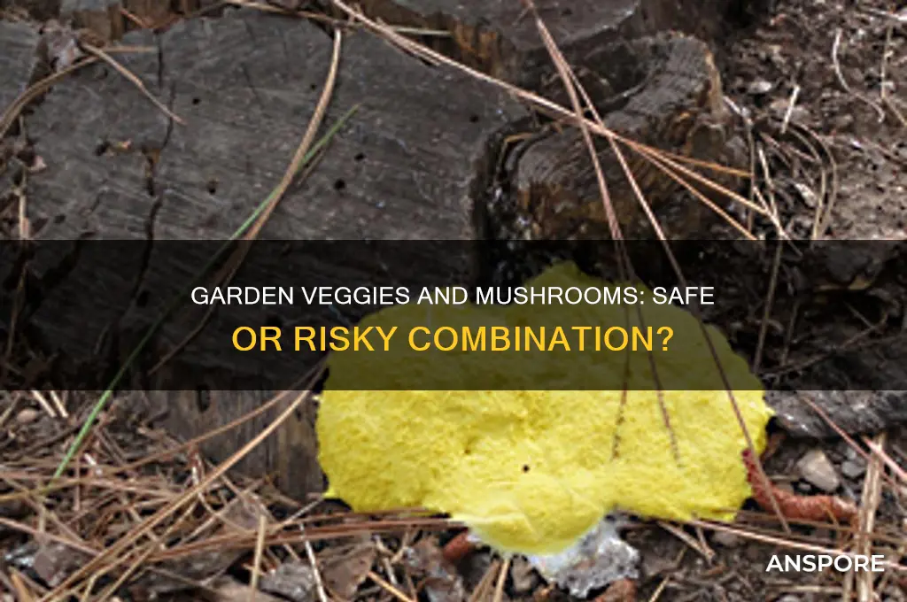 is it dangerous to eat vegetables with mushrooms in garden