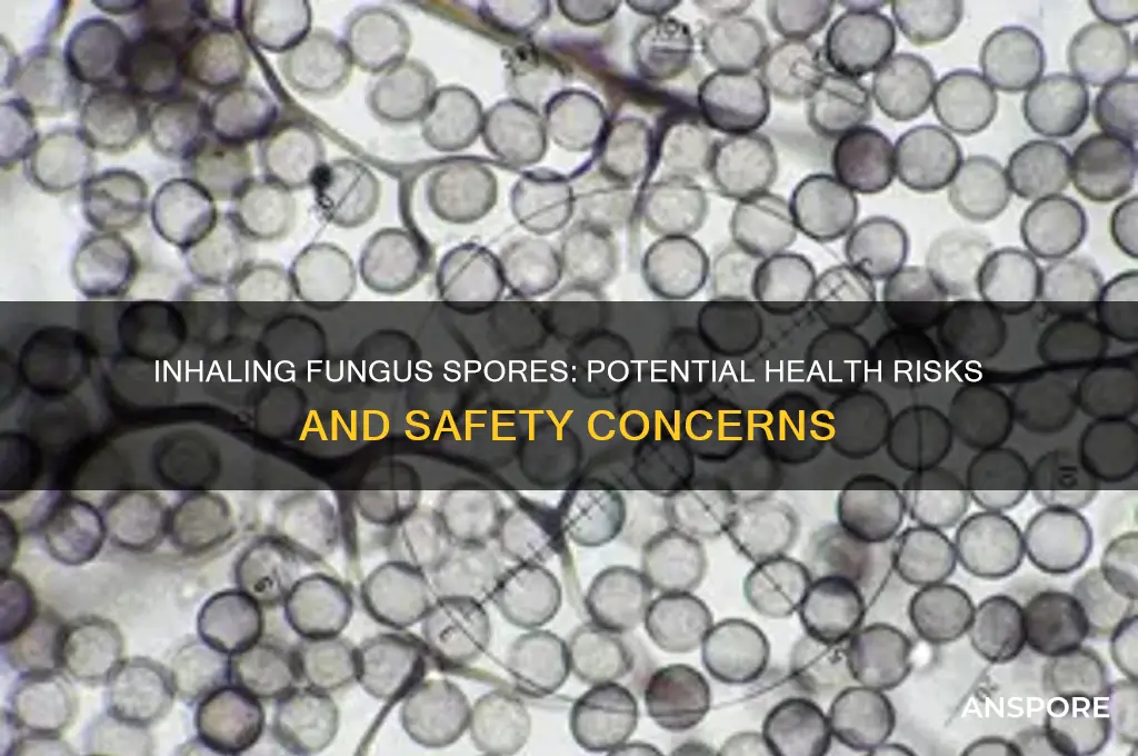 is it dangerous to inhale fungus spores