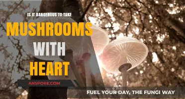 Mushrooms and Heart Health: Potential Risks and Safety Concerns