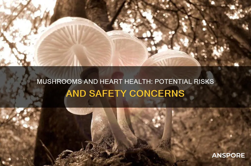 is it dangerous to take mushrooms with heart