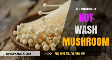 Skipping Mushroom Washing: A Risky Move or Harmless Shortcut?
