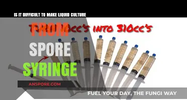 Making Liquid Culture from Spore Syringe: Challenges and Tips