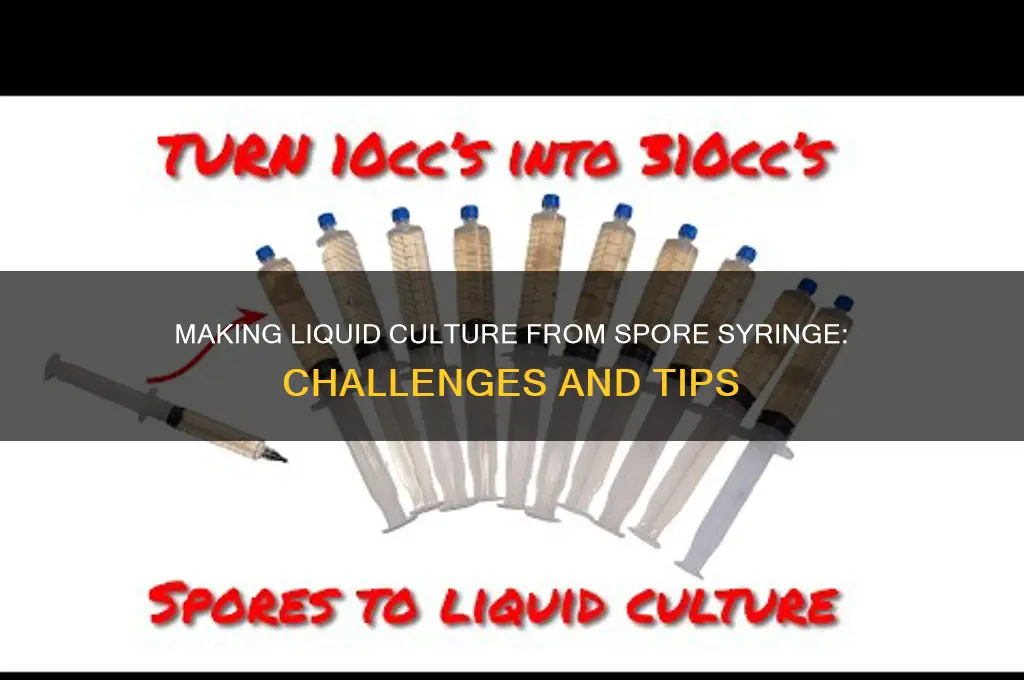is it difficult to make liquid culture from spore syringe
