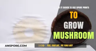 Spore Prints vs. Traditional Methods: Which is Easier for Growing Mushrooms?