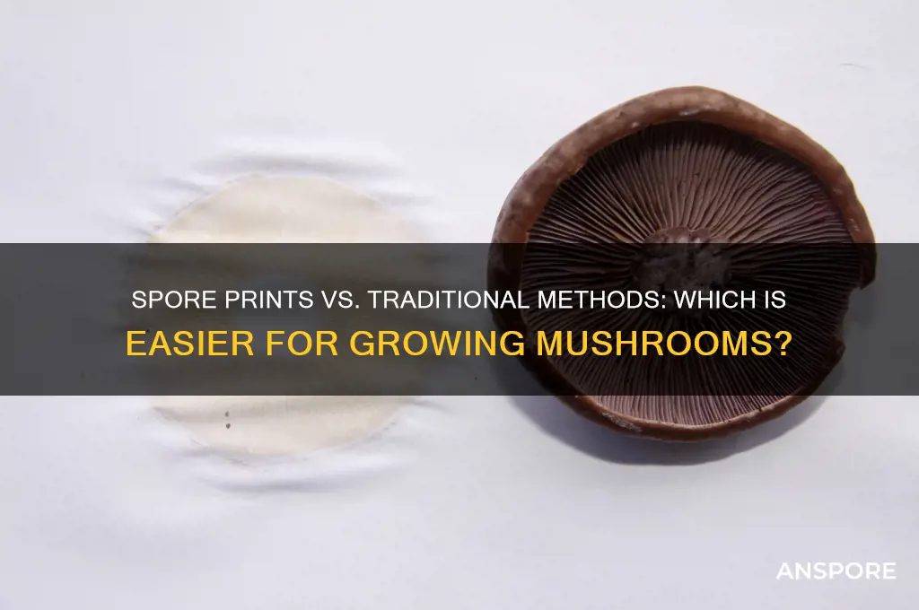 is it easier to use spore prints to grow mushrooms