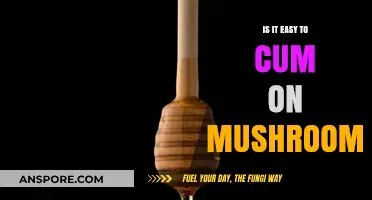 Exploring the Link Between Psilocybin and Sexual Arousal: Easy Orgasm?