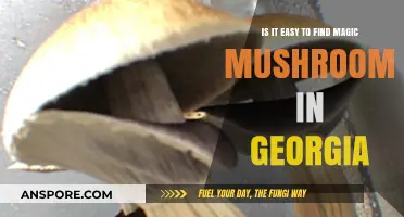Finding Magic Mushrooms in Georgia: Easy or Elusive?