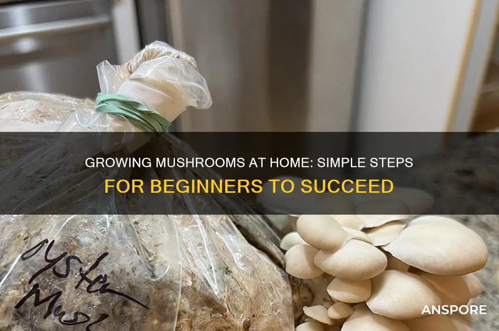is it easy to grow mushrooms at home