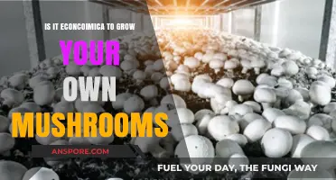 Is Growing Your Own Mushrooms Economically Wise? A Cost Analysis
