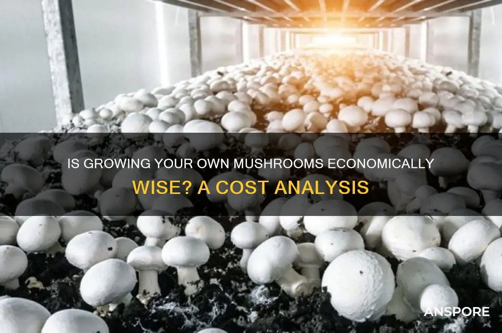 is it econcoimica to grow your own mushrooms