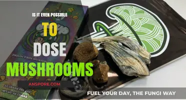 Can You Accurately Measure and Dose Magic Mushrooms?