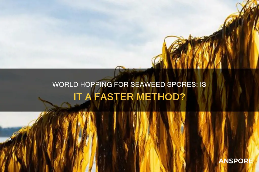 is it faster to world hop to find seaweed spores