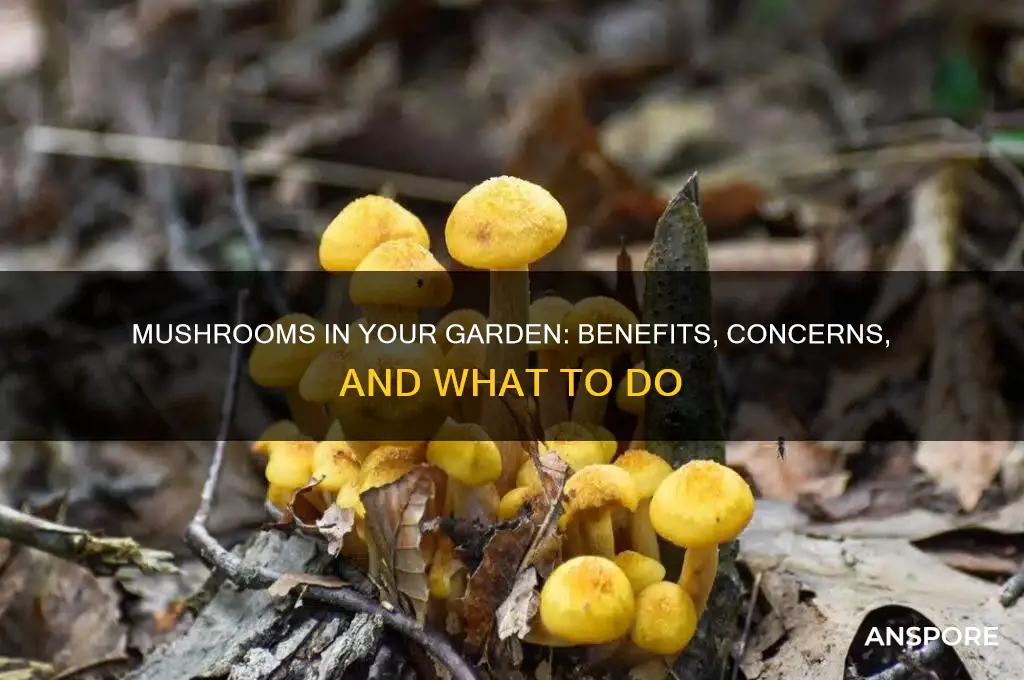 is it good for mushrooms to grow in your garden