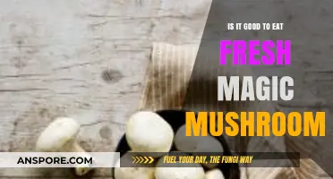 Fresh Magic Mushrooms: Benefits, Risks, and Safe Consumption Guide