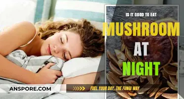 Mushrooms at Night: Benefits, Myths, and Sleep Impact Explained