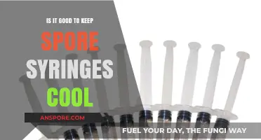 Cool Storage for Spore Syringes: Benefits and Best Practices