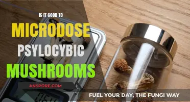 Microdosing Psilocybin Mushrooms: Benefits, Risks, and What Science Says