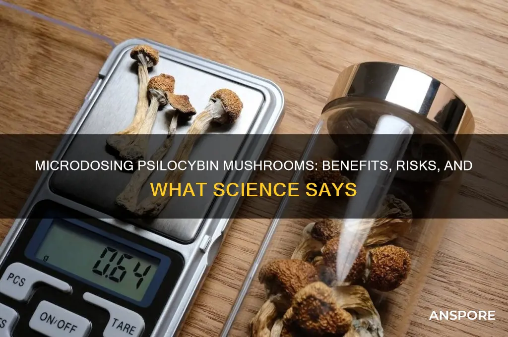 is it good to microdose psylocybic mushrooms