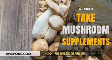 Mushroom Supplements: Benefits, Risks, and What Science Says