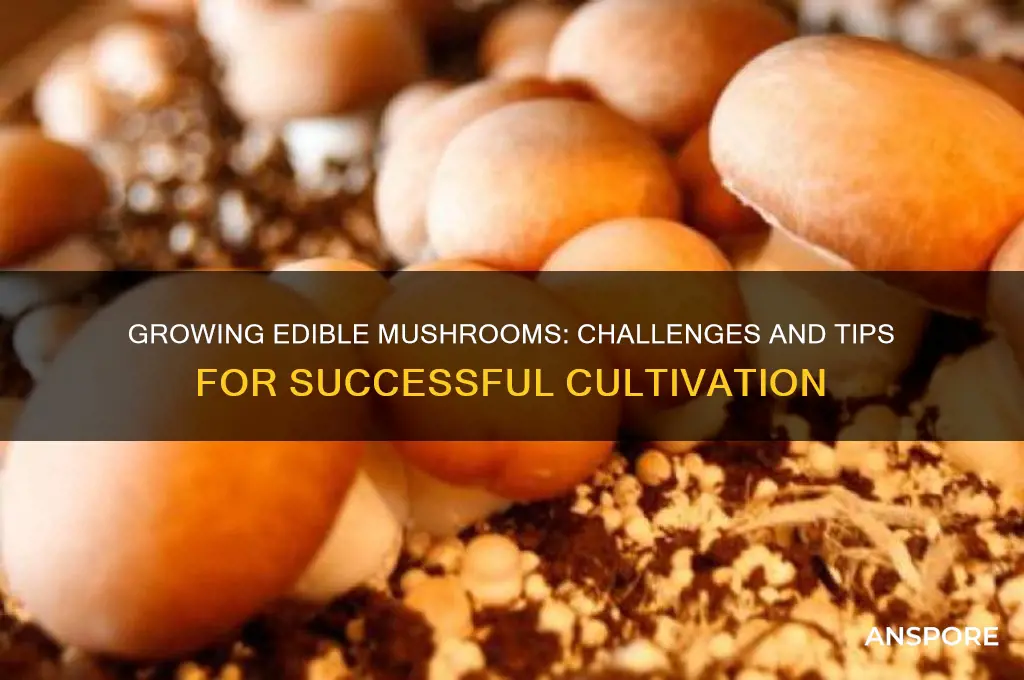 is it hard to grow edible mushrooms