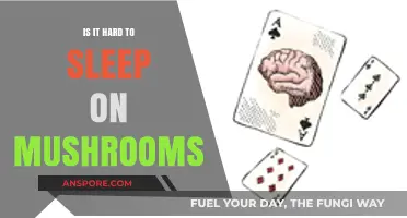 Sleeping on Mushrooms: Unraveling the Challenges of Psychedelic Rest