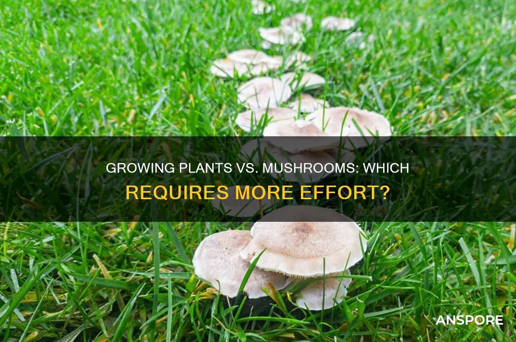 is it harder to grow plants or mushrooms