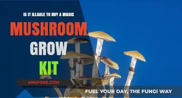 Is Buying a Magic Mushroom Grow Kit Illegal? Legal Insights