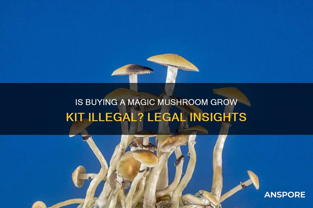 is it illagle to buy a magic mushroom grow kit