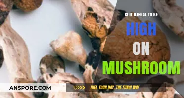 Is Being High on Mushrooms Illegal? Legal Insights and Risks