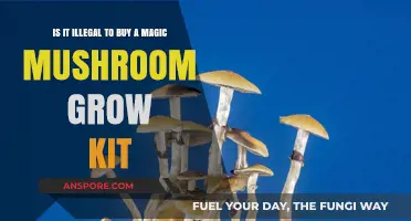 Is Buying a Magic Mushroom Grow Kit Illegal? Legal Insights