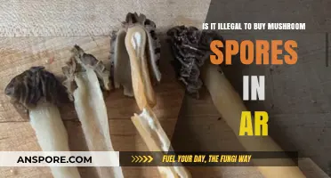 Buying Mushroom Spores in Arkansas: Legal or Illegal?