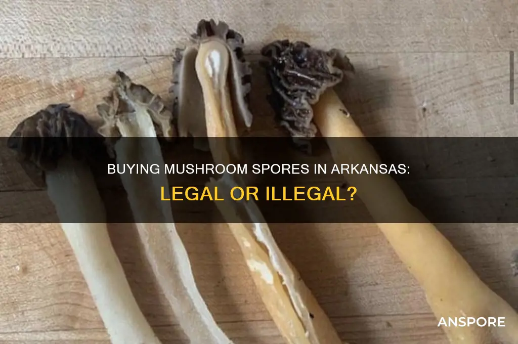 is it illegal to buy mushroom spores in ar