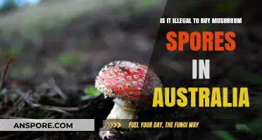 Buying Mushroom Spores in Australia: Legal or Illegal?
