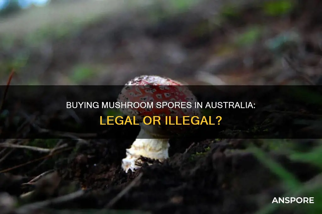 is it illegal to buy mushroom spores in australia