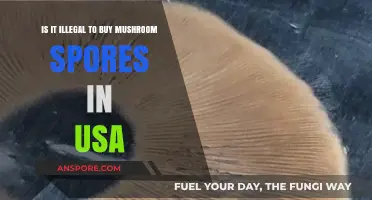 Buying Mushroom Spores in the USA: Legal or Illegal?