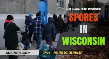 Buying Mushroom Spores in Wisconsin: Legal or Illegal?
