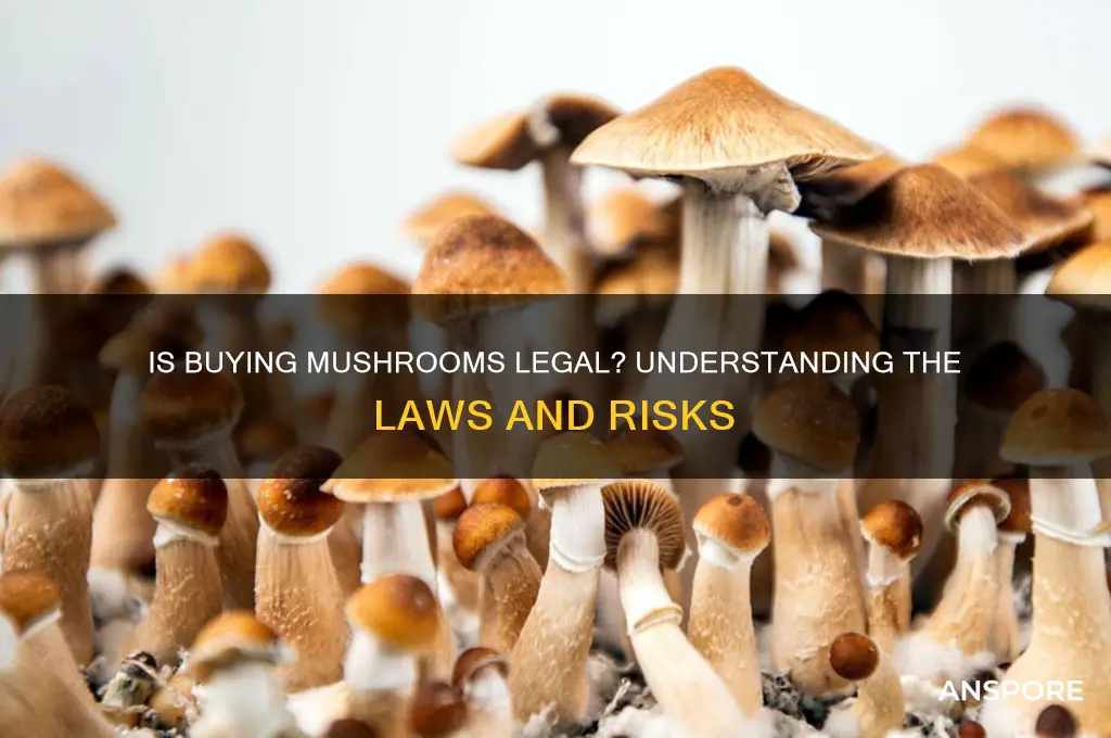 is it illegal to buy mushrooms