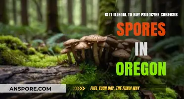 Buying Psilocybe Cubensis Spores in Oregon: Legal or Illegal?