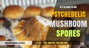 Buying Psychedelic Mushroom Spores: Legal or Illegal? What You Need to Know