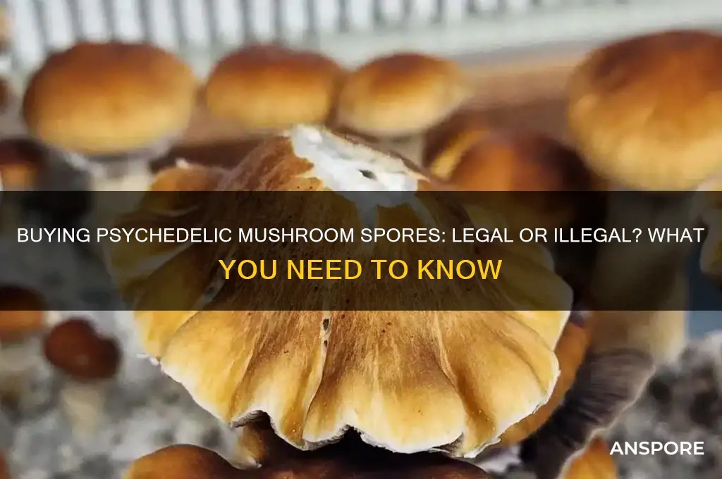 is it illegal to buy psychedelic mushroom spores