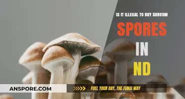 Buying Shroom Spores in North Dakota: Legal or Illegal?