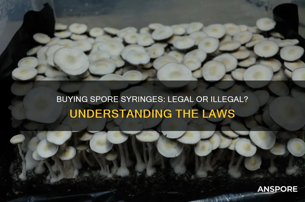 is it illegal to buy spore syringes