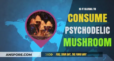 Are Psychedelic Mushrooms Legal? Exploring the Law and Consequences