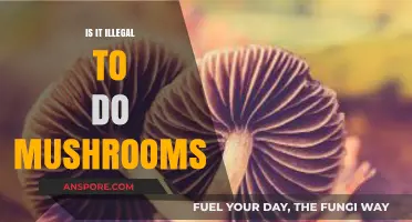 Are Magic Mushrooms Legal? Exploring Psilocybin's Legal Status and Risks
