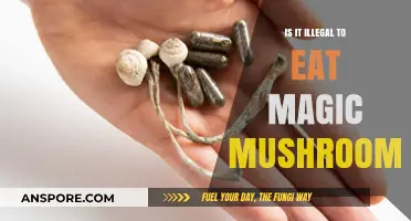 Is Eating Magic Mushrooms Illegal? Legal Insights and Risks Explained