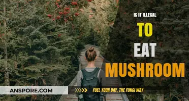 Is Eating Mushrooms Illegal? Understanding the Legalities of Fungal Consumption