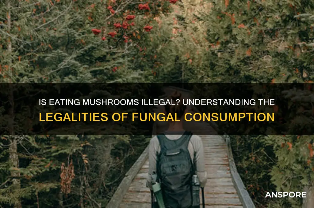 is it illegal to eat mushrooms