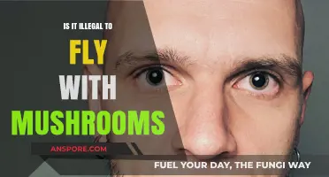 Flying with Mushrooms: Legal Risks and Travel Regulations Explained