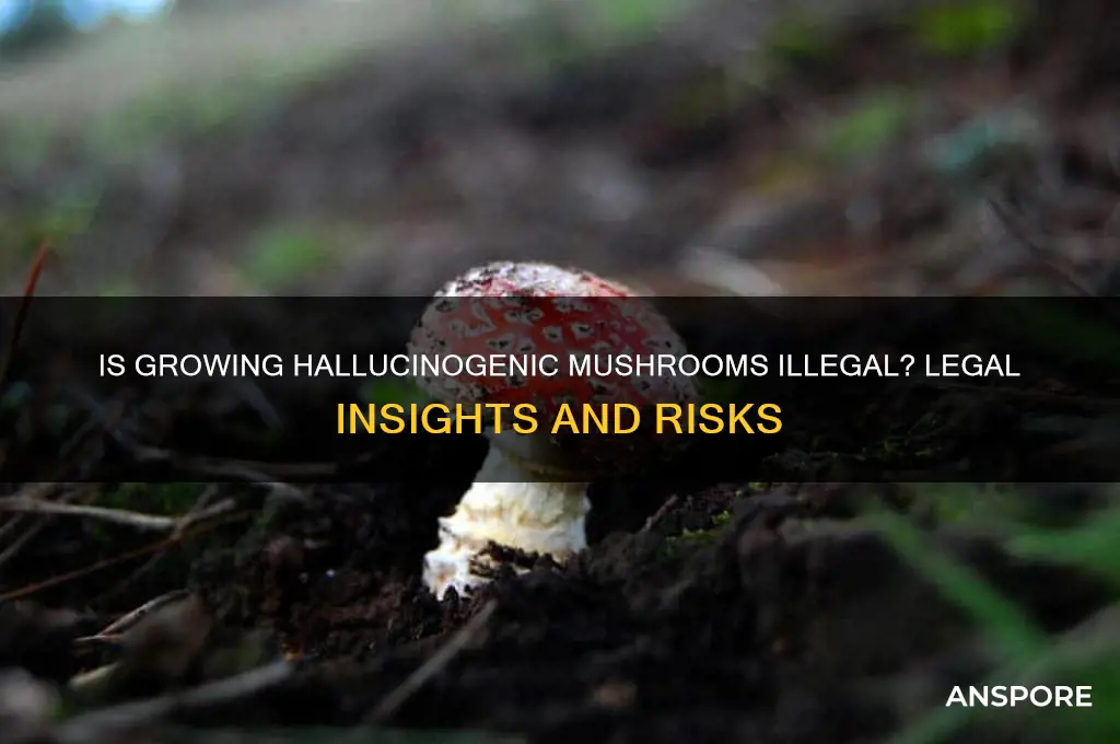 is it illegal to grow hallucinogenic mushrooms